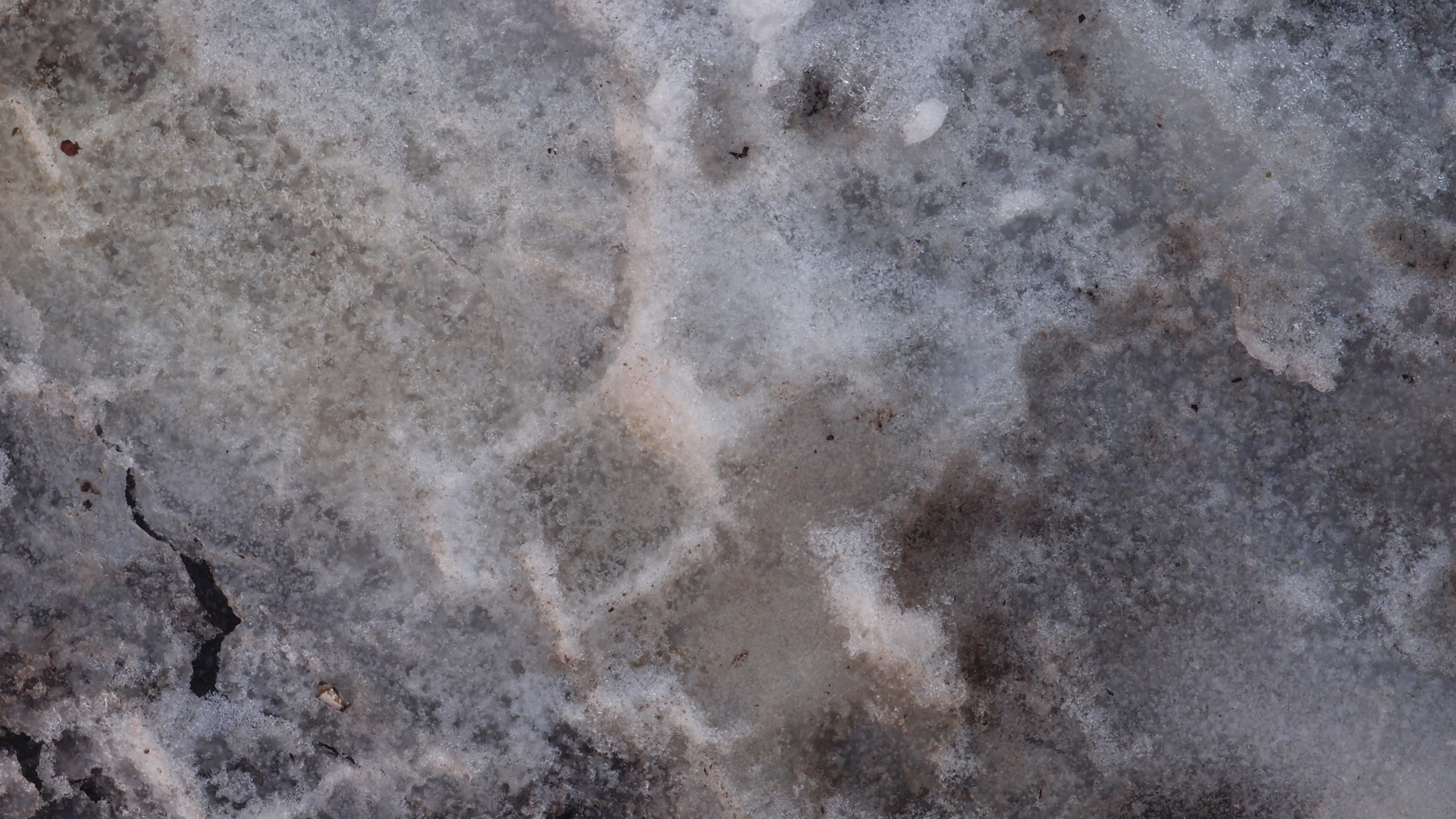 2021-01-30 Wasser in der Sple II, On-Off (Remix John Cage 'Sonatas & Interludes') (Komposition, Remix, Recording, Foto)
